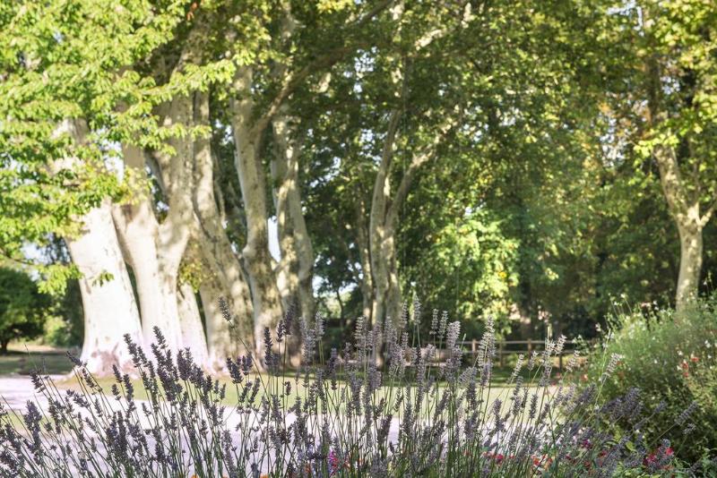 Отель Château De Massillan