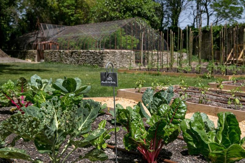 Отель Château De Massillan