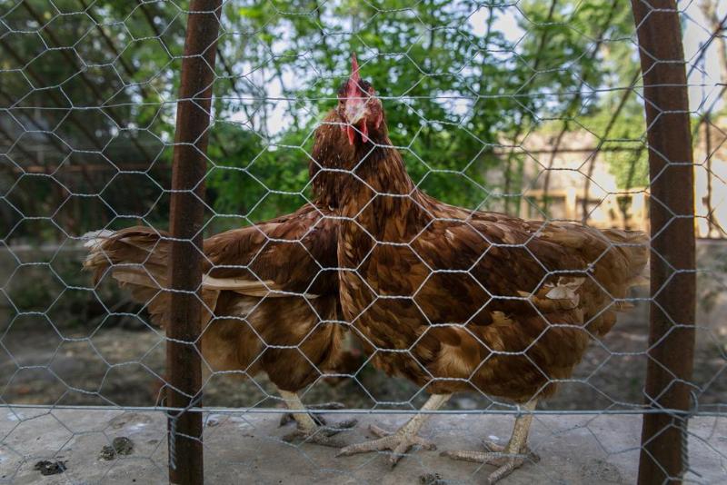 Отель Château De Massillan