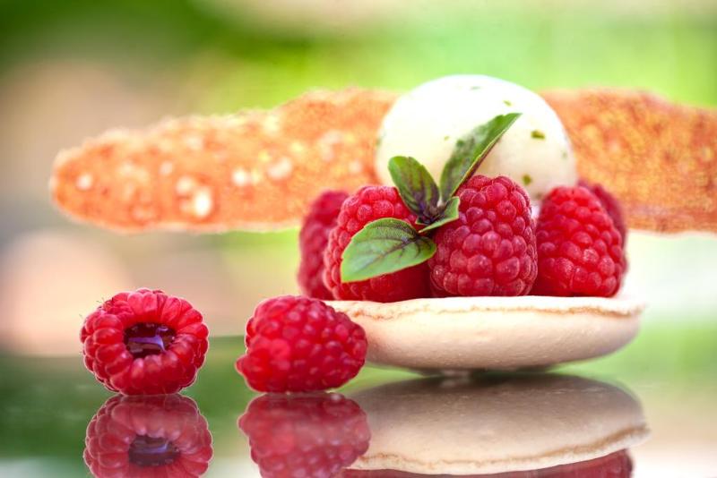 Отель Château De Massillan