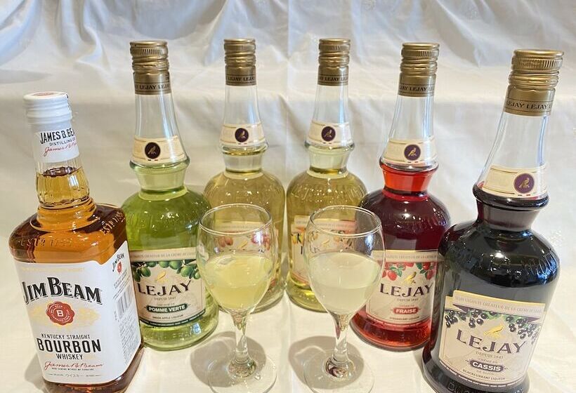 Henn Na Hotel Osaka Shinsaibashi