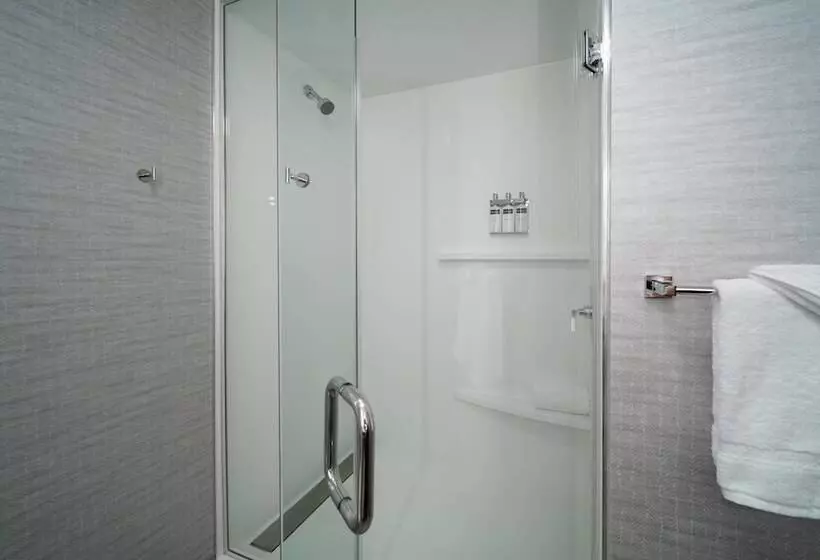 ホテル Residence Inn Boston Downtown/south End