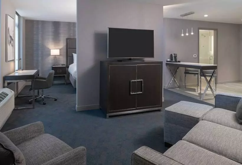 ホテル Residence Inn Boston Downtown/south End