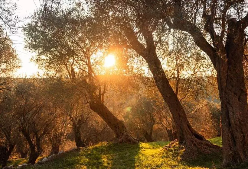 پانسیون Rooms Molabeciri