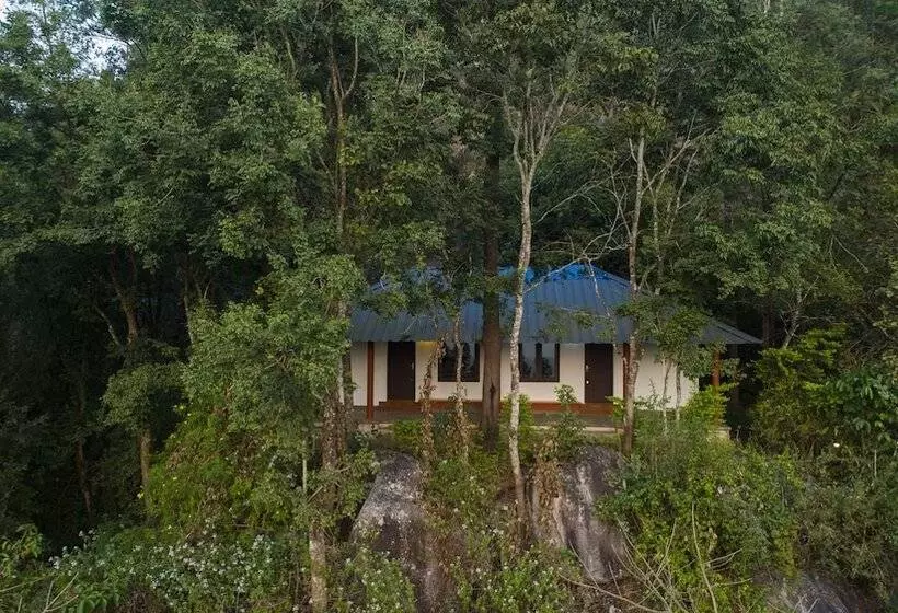 リゾートホテル Edakkal Hermitage