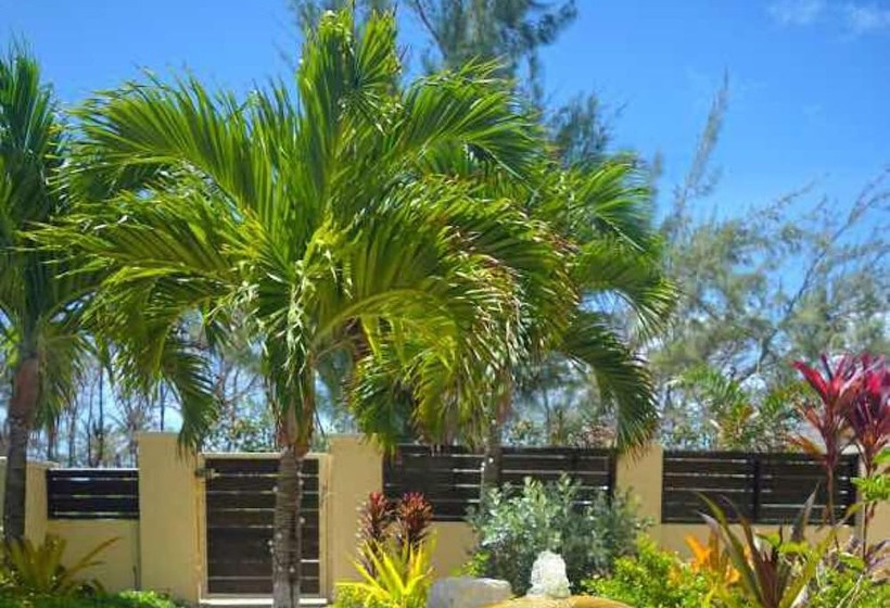 مسافرخانه Hidden Gem Barbados