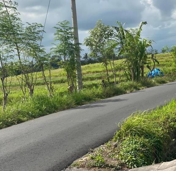 簡易ホテル Lilis Cempaka Mas Guesthouse