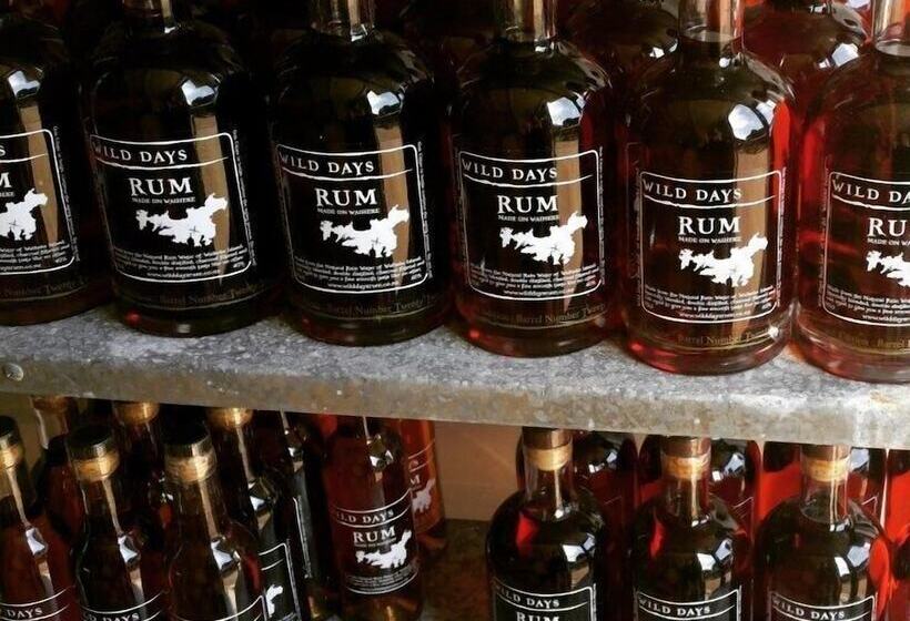 여관 Wild Days Accommodation