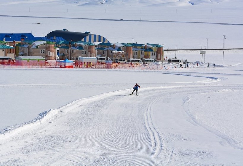 호텔 Alpina Konaklari