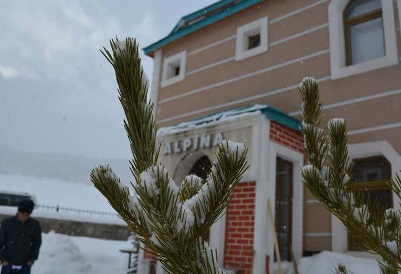 호텔 Alpina Konaklari