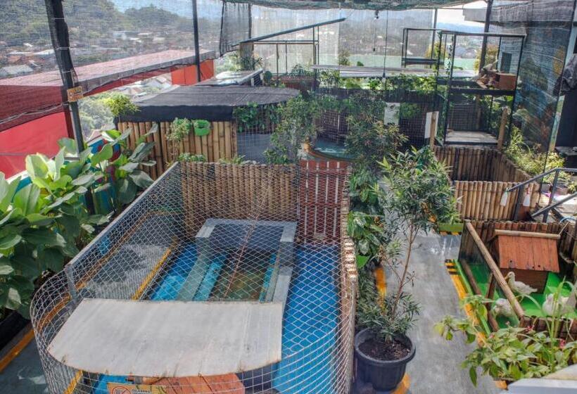 בית מלון כפרי Fortunagrande Jember