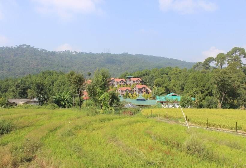 Nature Bloom Dharamshala Hotel And Resort