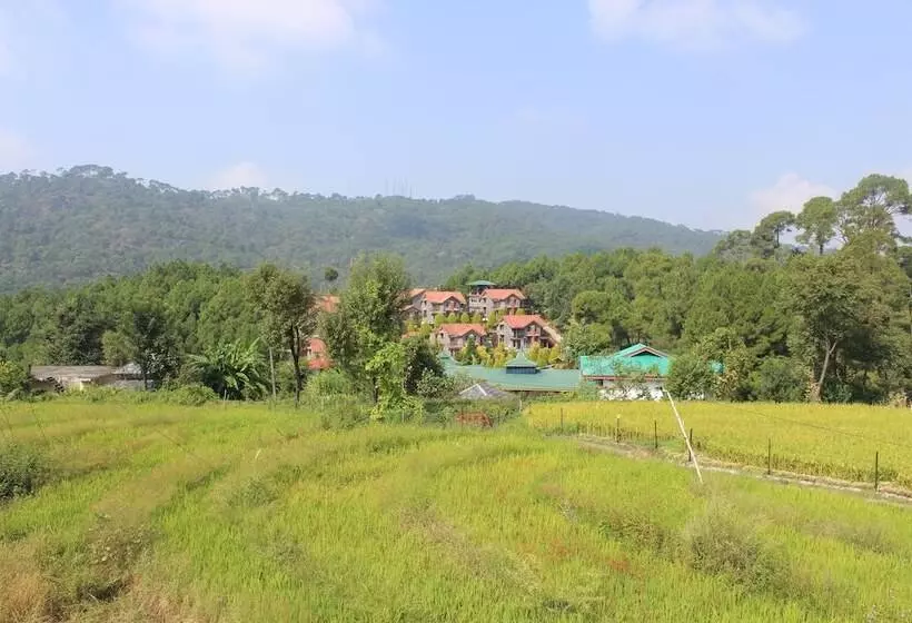 Nature Bloom Dharamshala Hotel And Resort