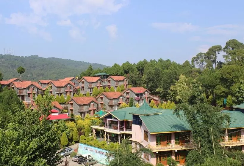 Nature Bloom Dharamshala Hotel And Resort