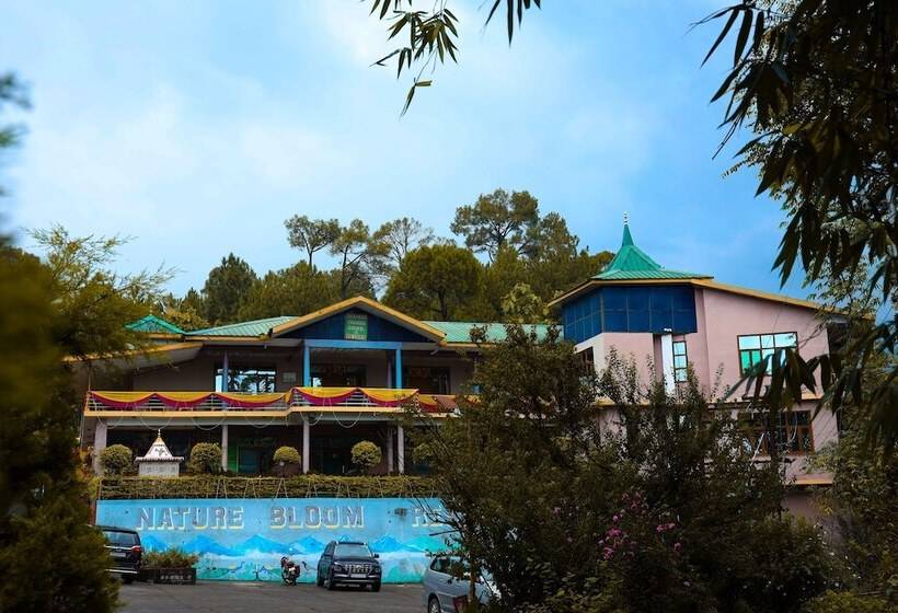 Nature Bloom Dharamshala Hotel And Resort