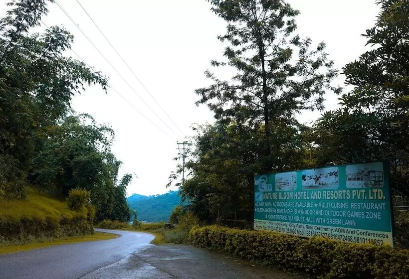 Nature Bloom Dharamshala Hotel And Resort