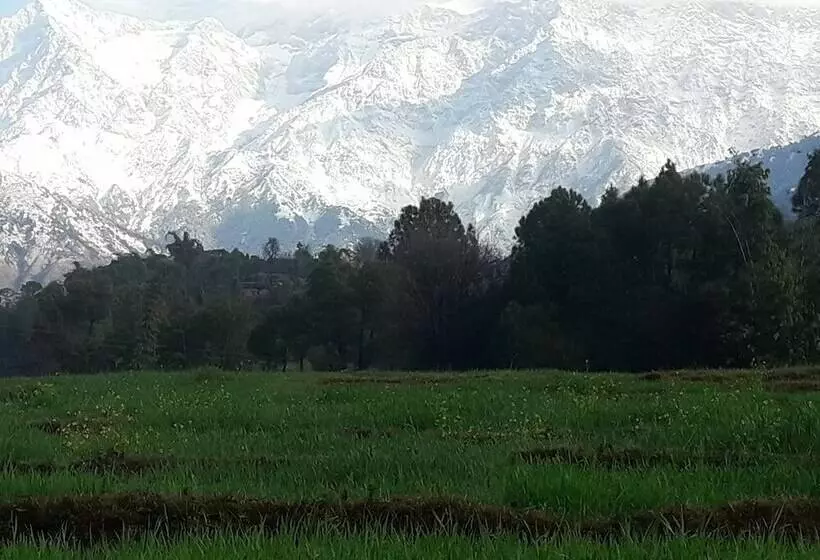 Nature Bloom Dharamshala Hotel And Resort