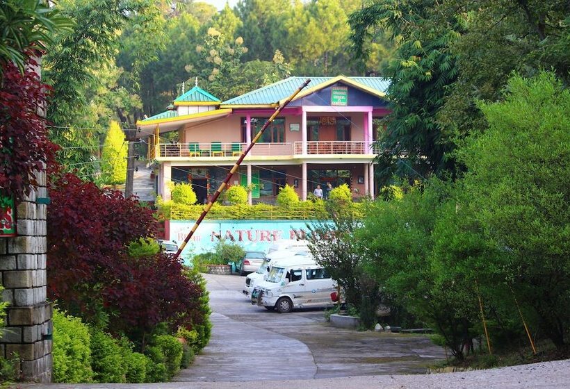 Nature Bloom Dharamshala Hotel And Resort