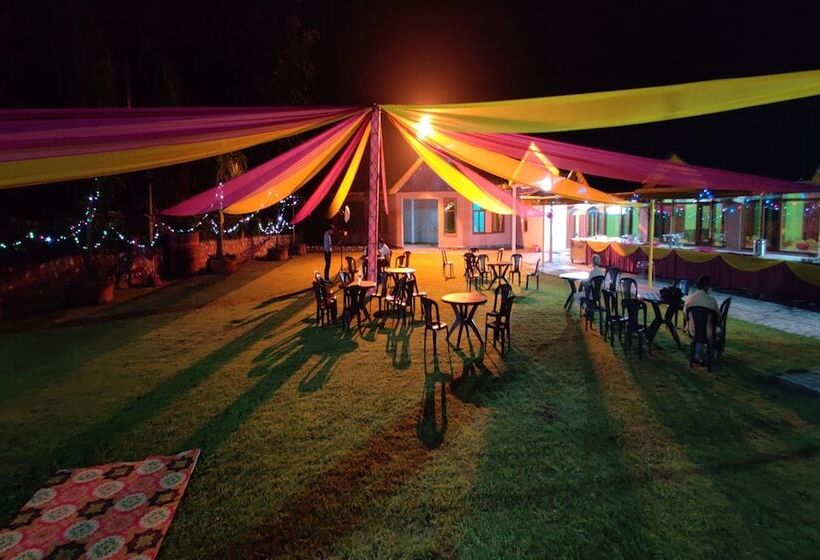 Nature Bloom Dharamshala Hotel And Resort