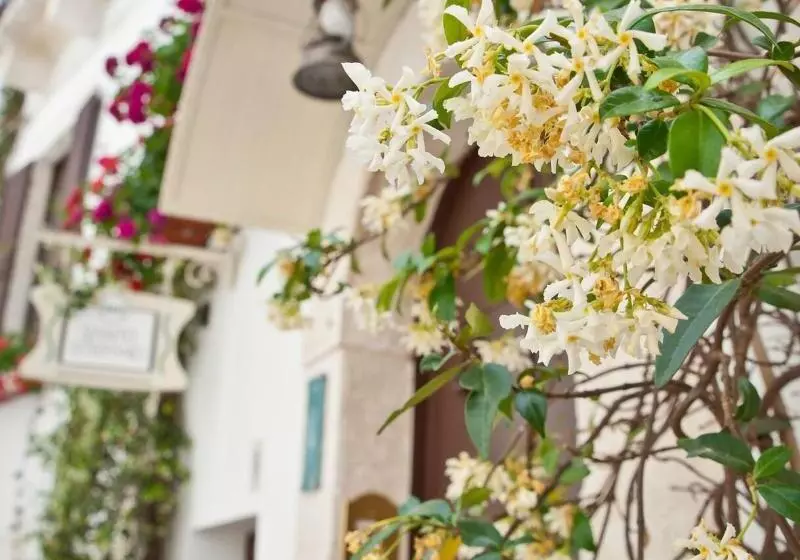 ベッドアンドブレックファースト Santo Stefano