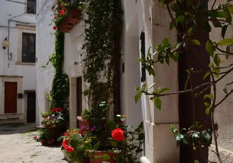 ベッドアンドブレックファースト Santo Stefano