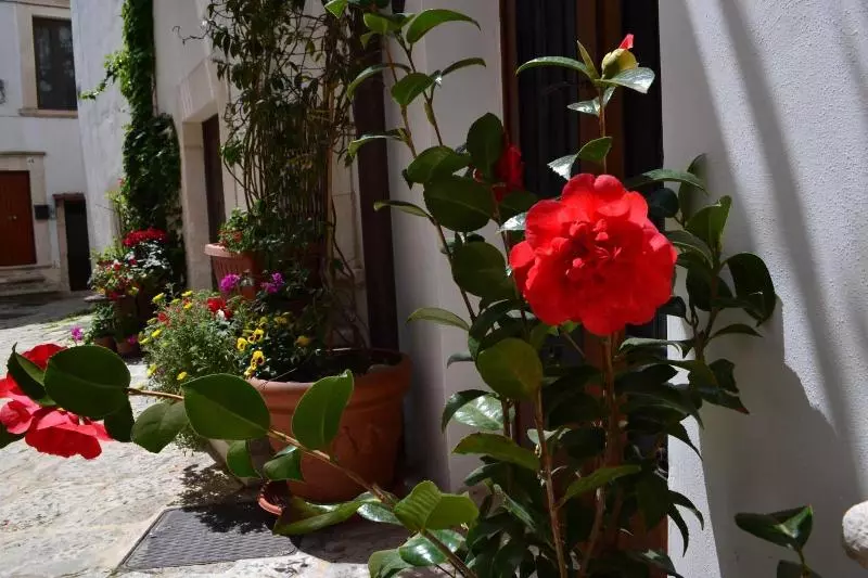 ベッドアンドブレックファースト Santo Stefano