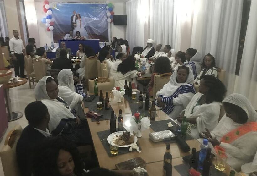 فندق Gondar Plaza