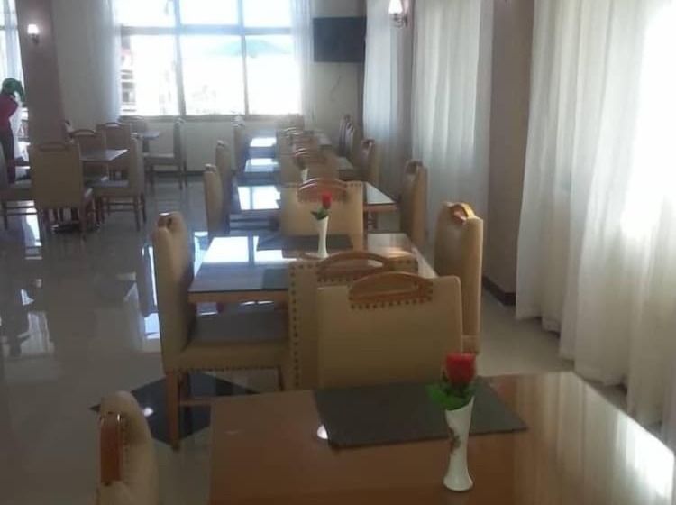 فندق Gondar Plaza