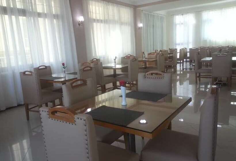 فندق Gondar Plaza