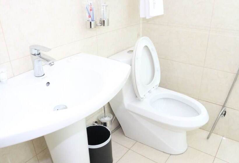 فندق Gondar Plaza