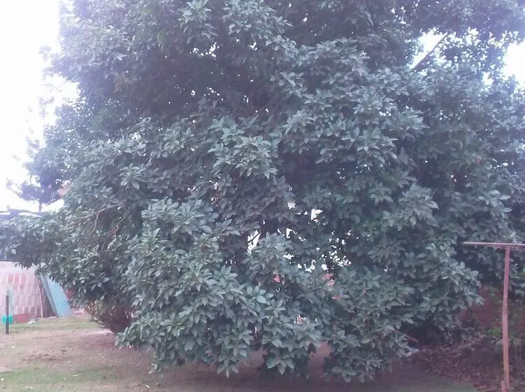 هتل Greenpage Garden Suites