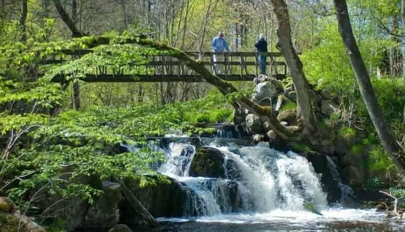 Hotelli Tastecelebration Residence