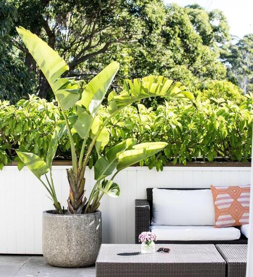 ホテル Bannisters By The Sea Mollymook