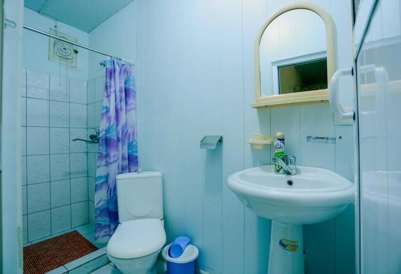 酒店 Bukhara House