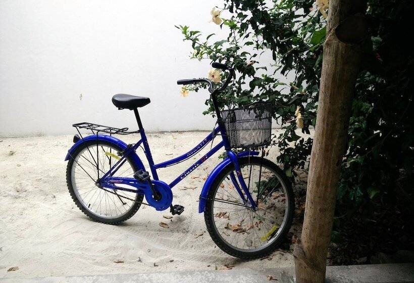 هتل Evexia Beach Collection   A Premium Wellness Retreat