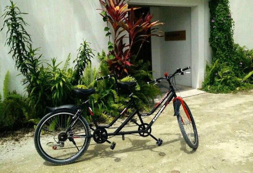 هتل Evexia Beach Collection   A Premium Wellness Retreat