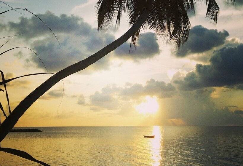 هتل Evexia Beach Collection   A Premium Wellness Retreat