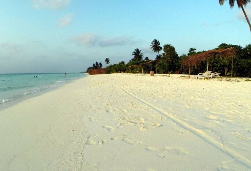 هتل Evexia Beach Collection   A Premium Wellness Retreat