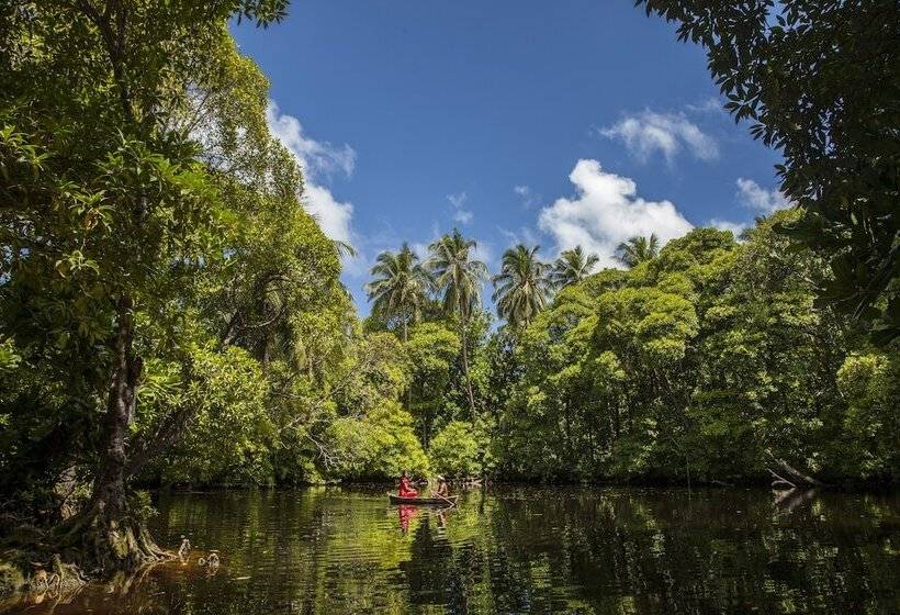 هتل Evexia Beach Collection   A Premium Wellness Retreat