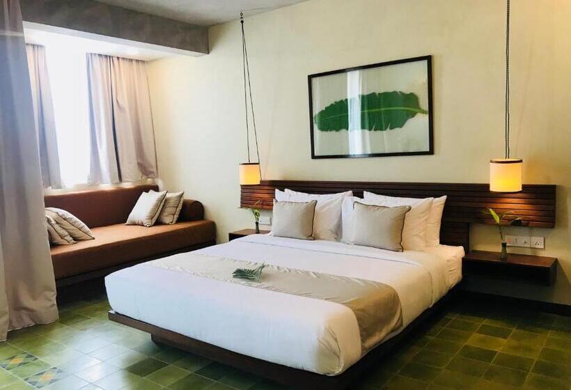 בית מלון כפרי Penh House