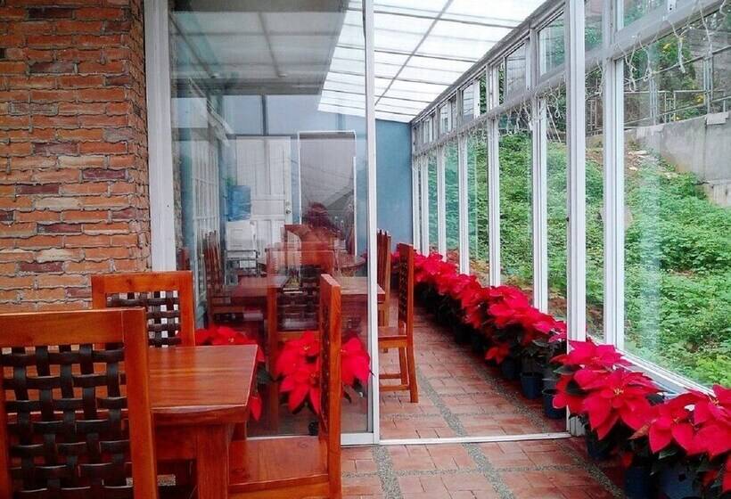 Pension Martha S Rooms