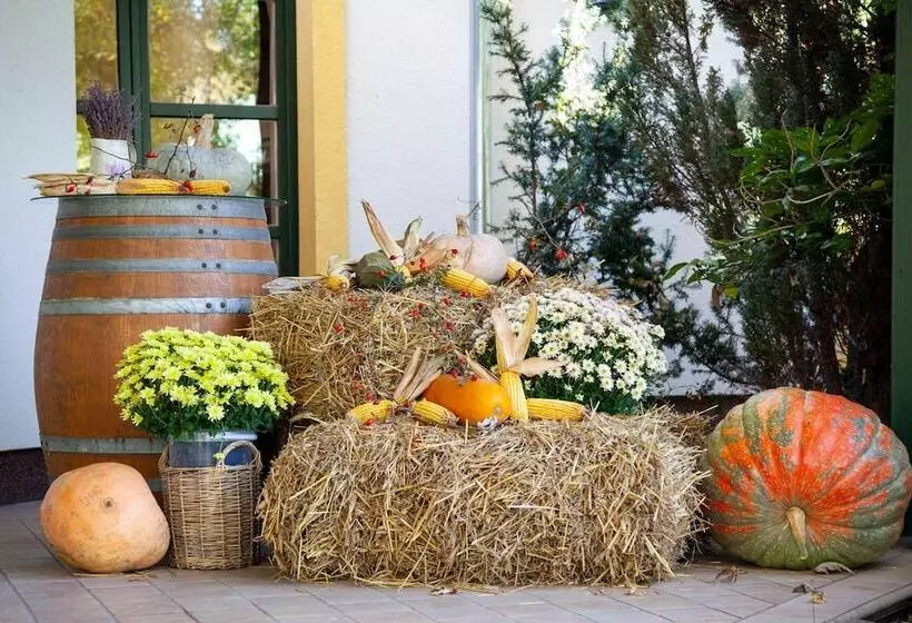 Lomakeskus Hubertus Hof Land