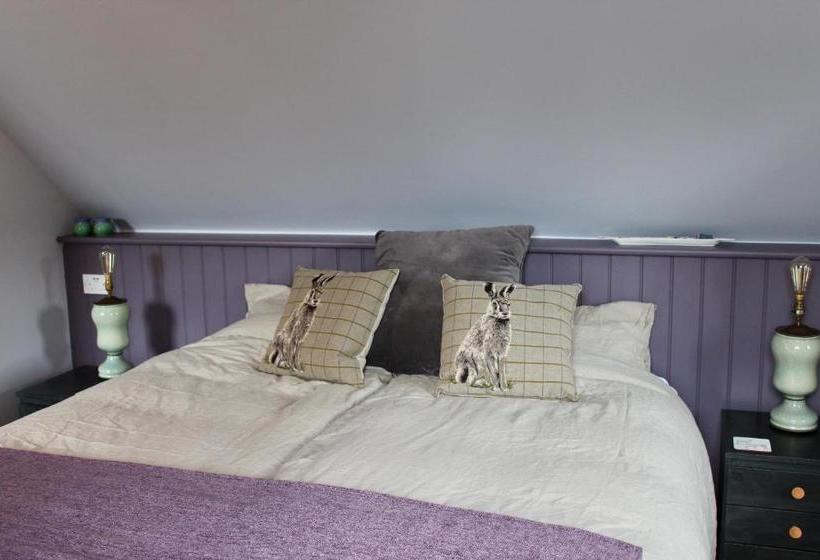 Отель Bungalow 500 Bed And Breakfast