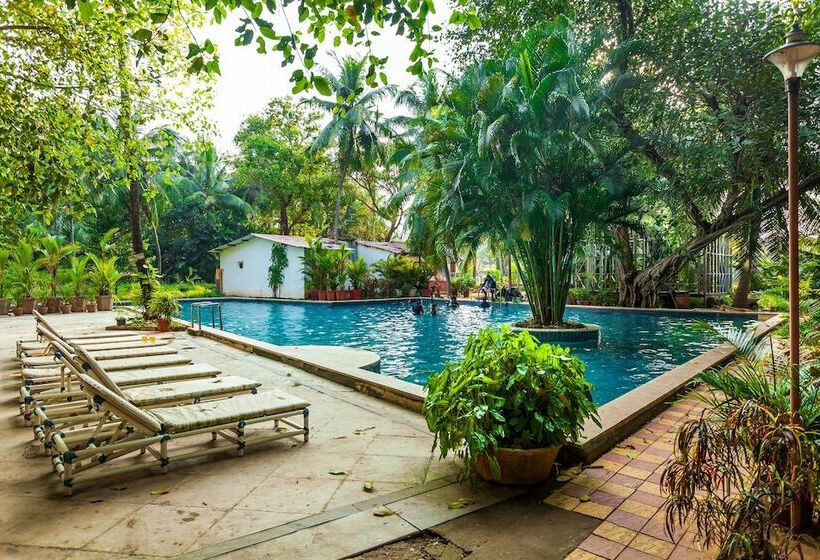 호텔 Little Italy By Oyo Rooms