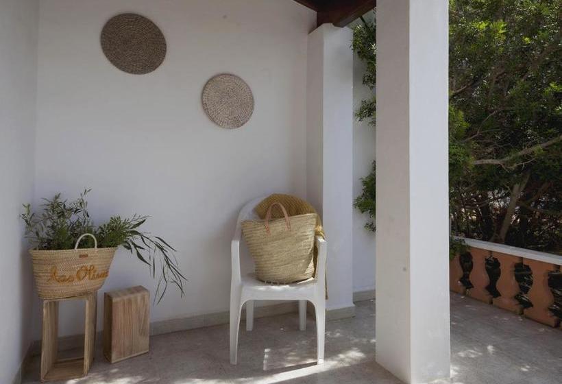 Viviendas Los Olivos  Formentera Break
