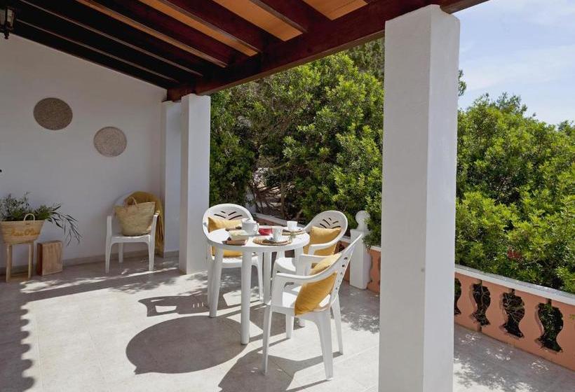 Viviendas Los Olivos  Formentera Break