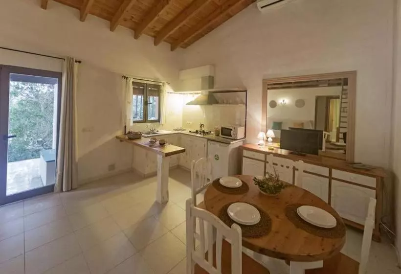 Viviendas Los Olivos  Formentera Break