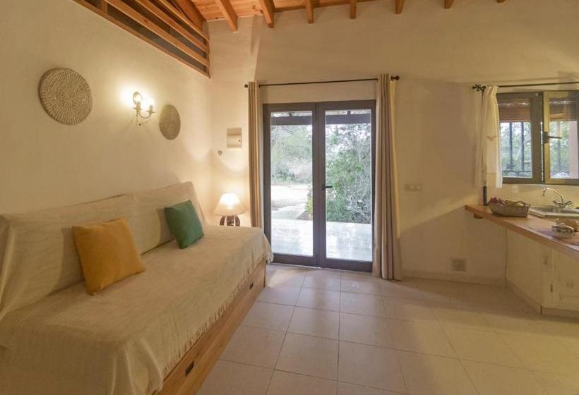 Viviendas Los Olivos  Formentera Break