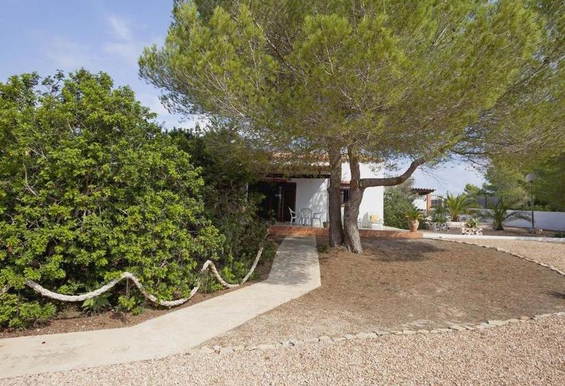 Viviendas Los Olivos  Formentera Break