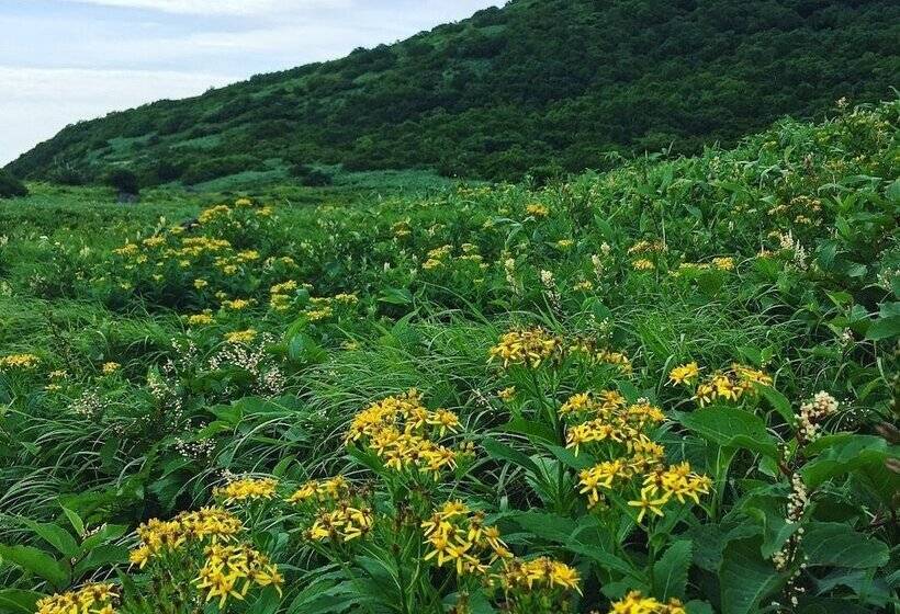פונדק Donaludo Pension